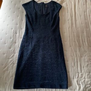 Ann Taylor Navy Work Dress